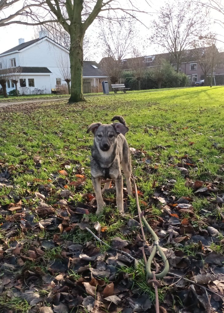 PHOTO-2023-02-23-21-11-30