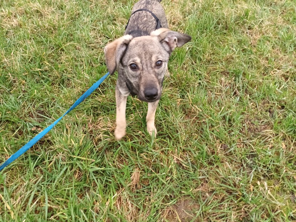 PHOTO-2023-02-23-21-13-47