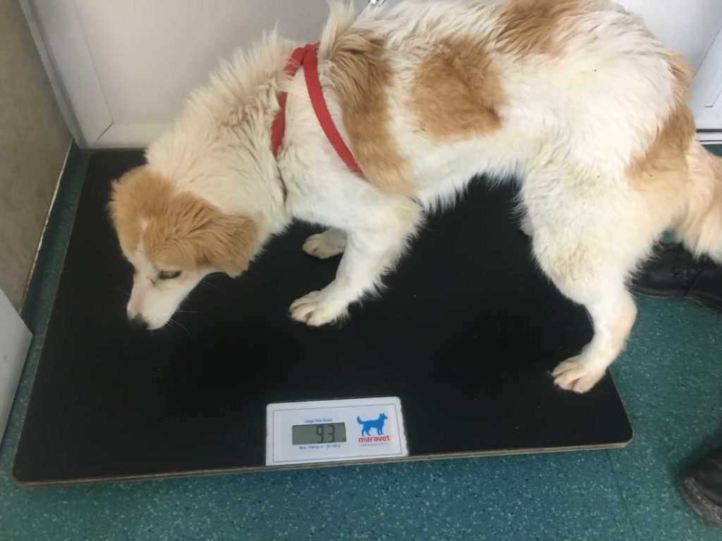 PHOTO-2023-02-24-11-07-06 (1)