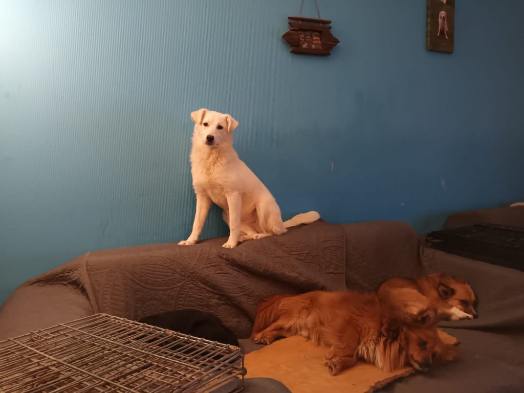 PHOTO-2023-05-01-16-17-11