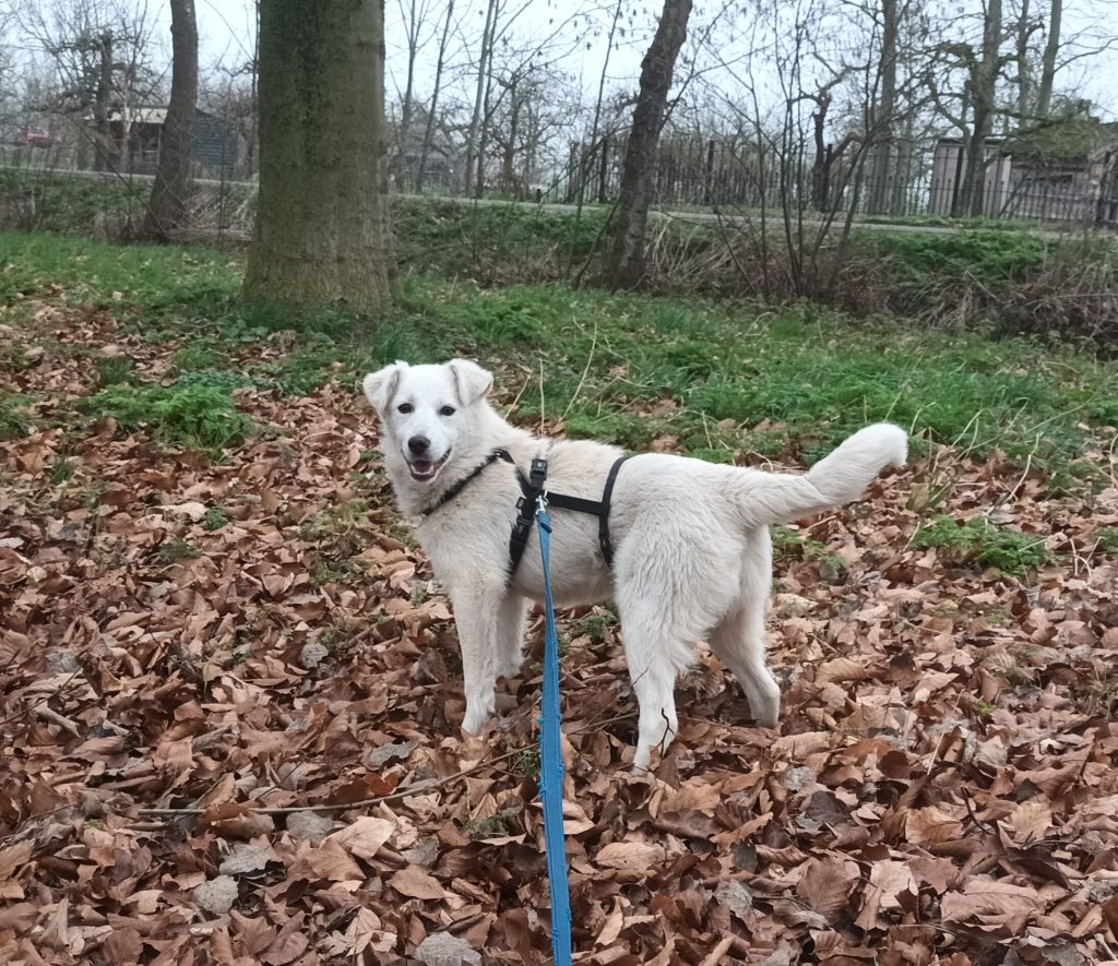 PHOTO-2023-05-01-16-20-12