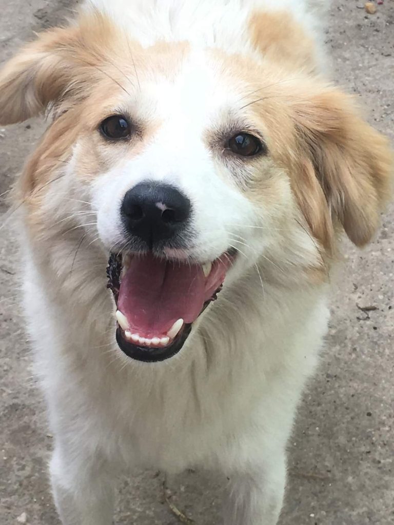 PHOTO-2023-06-05-16-16-03