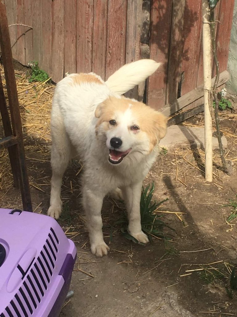 PHOTO-2023-06-05-16-17-12